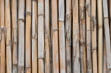 Bambu duvar arka plan dokusu yakın çekim