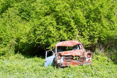 eski paslı araba Garden
