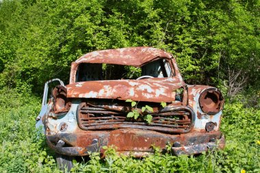 eski paslı araba Garden