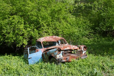 eski paslı araba Garden