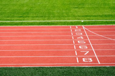 Yerel Stadyumu ve koşu parkuru