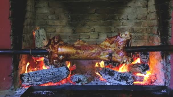 Cordero Una Saliva Fuego — Vídeos de Stock