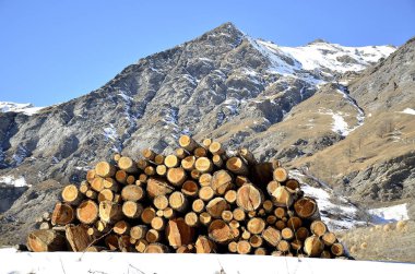 Kışın dağ Odunluk