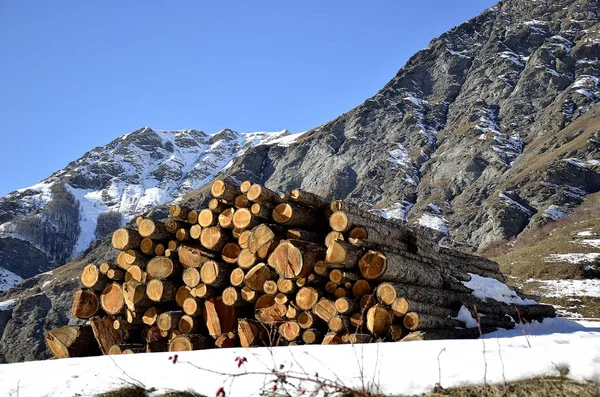Kışın dağ Odunluk