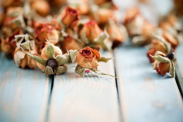 Vackra torkade rosor — Stockfoto