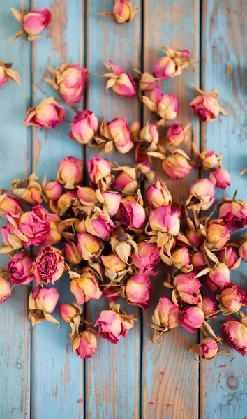 Beautiful dried roses — Stock Photo, Image