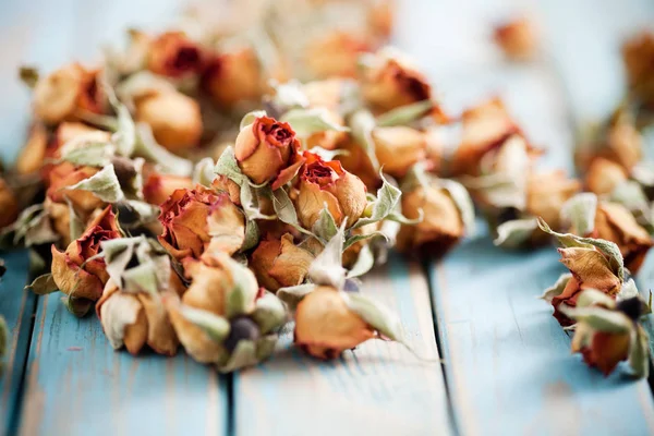 Beautiful dried roses — Stock Photo, Image