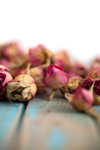 Mooie gedroogde rozen — Stockfoto