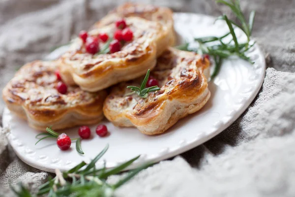Savory pies with reindeer meat — Stock Photo, Image