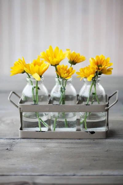 Bouquets of pretty yellow chrysanthemums — Stock Photo, Image