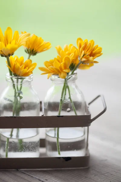 Bouquets de crisântemos muito amarelos — Fotografia de Stock