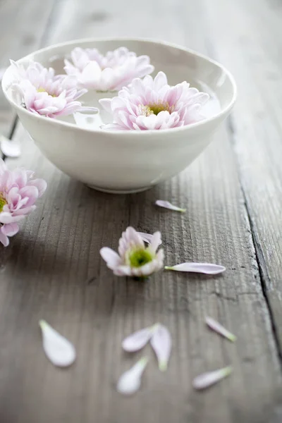 Bowl of water with pink flowers — Stock Photo, Image
