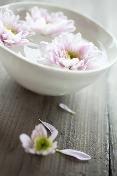 Misku s vodou s růžovými květy — Stock fotografie