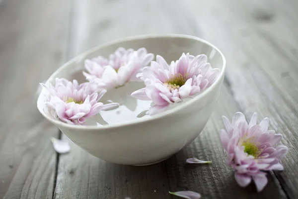 Schüssel Wasser mit rosa Blüten — Stockfoto