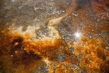 Yellowstone Milli Parkı