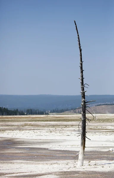 Yellowstone-Nationalpark — Stockfoto