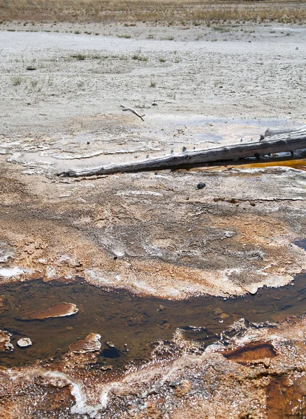 Parco nazionale di Yellowstone — Foto Stock