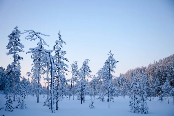 Inverno Lapponia Finlandia — Foto Stock