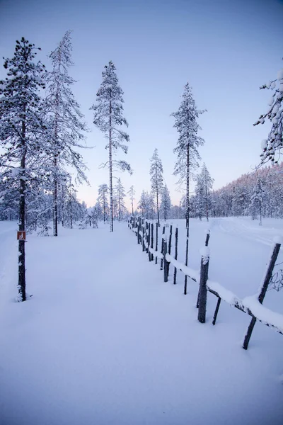 Inverno Lapónia Finlândia — Fotografia de Stock