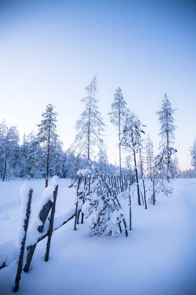 芬兰拉普兰的冬天 — 图库照片