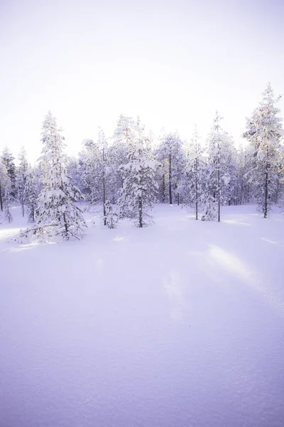 Invierno Laponia Finlandia — Foto de Stock