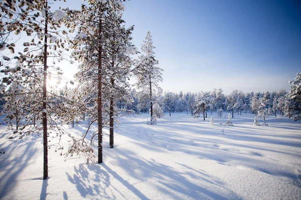 Invierno Laponia Finlandia — Foto de Stock