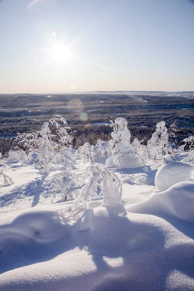 Winter Lapland Finland — Stockfoto