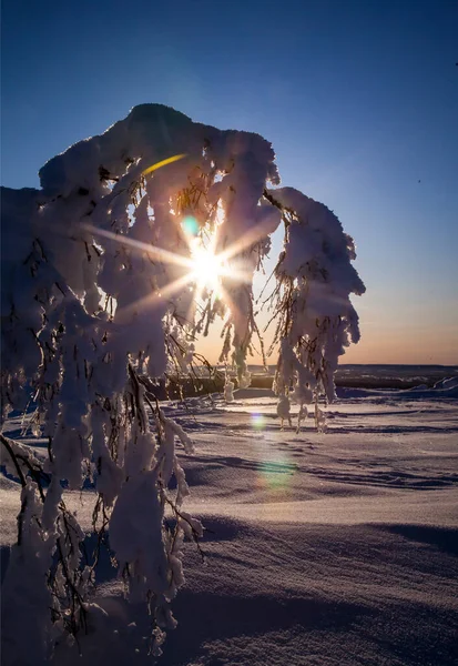 Invierno Laponia Finlandia — Foto de Stock