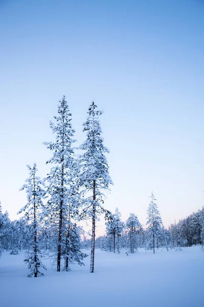 Winter Lapland Finland Stockfoto