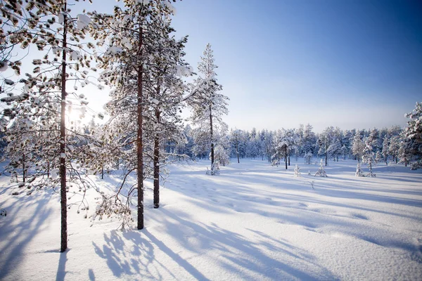 Winter Lappland Finnland lizenzfreie Stockbilder