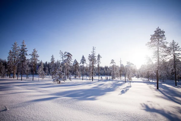 Winter Lapland Finland Stockafbeelding