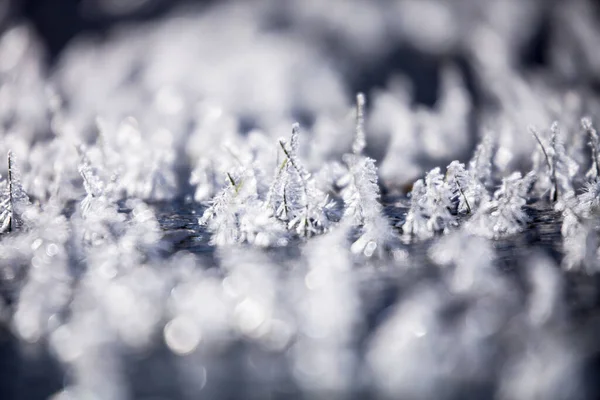 Frosty Ochtend Met Mooie Details Van Bevroren Gras — Stockfoto