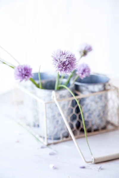 Friss Snidling Virágok Egy Vázában Asztalon Stock Kép