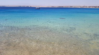 Kızıldeniz güzel sahil yaz aylarında.