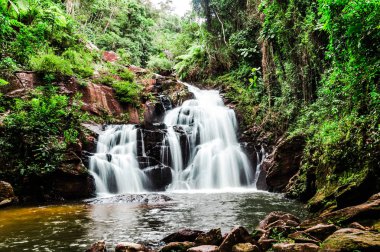 Ormanda gizli güzel bir şelale