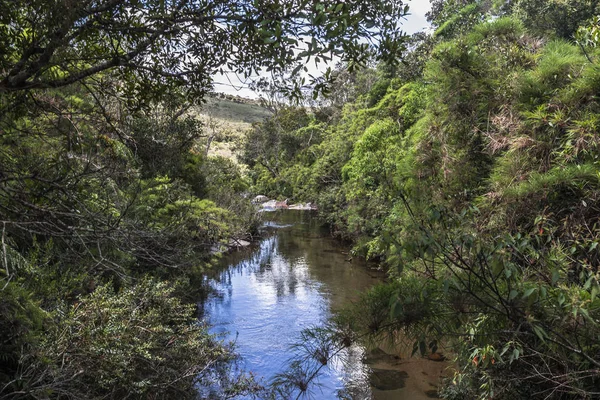 Maintain the river national park Stock Photos, Royalty Free Maintain ...