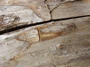 Doğal ahşabın ahşap dokusu, tahtalardan ahşap yüzey