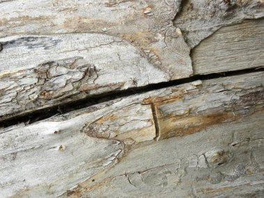 Doğal ahşabın ahşap dokusu, tahtalardan ahşap yüzey