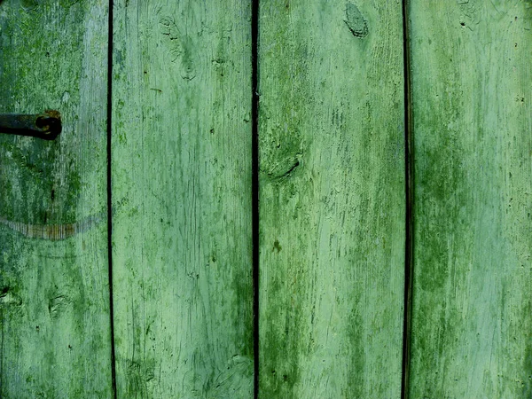 Holz Grüne Textur Hintergrund Holzoberfläche Aus Vertikalen Brettern — Stockfoto
