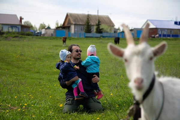 Kleine baby tweeling met hun vader in de buurt van geit — Stockfoto