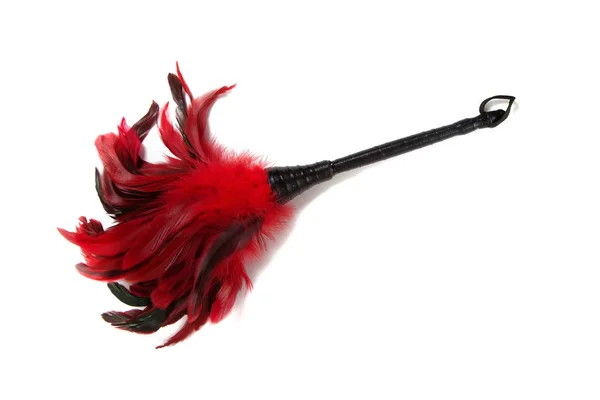 Zwart-en-rood Feathered fetish apparatuur op wit — Stockfoto