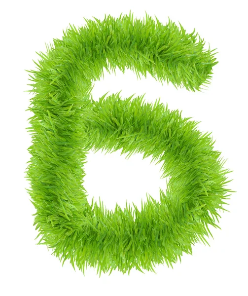 Numer sześć 6 z zielonej trawie. — Zdjęcie stockowe
