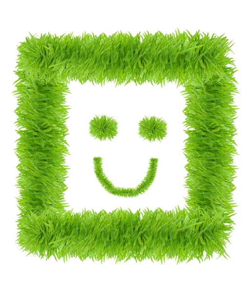 Smiling face made from green grass isolated — Stock Photo, Image