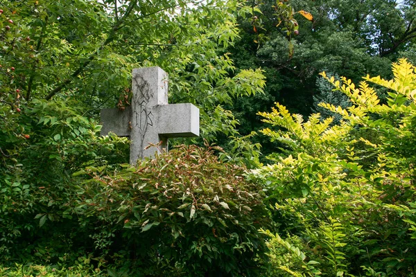 Stone súlyos kereszt a temetőben, a fák között — Stock Fotó