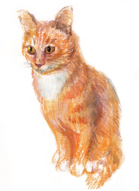 Kırmızı kedi bir resimle çizim suluboya