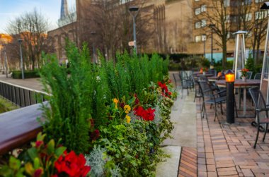 Tablo restoranda bir tencerede çiçekler