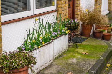 binanın önünde tencere renkli çiçekler, iki dikdörtül