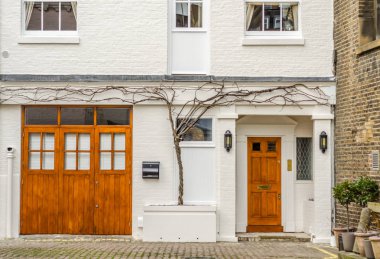 Dekorasyon ve cephe üzerinde yayılan ağaç ilginç 