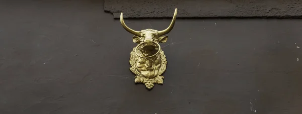 Bela decoração no edifício, cabeça de touro de ouro, decoração em t — Fotografia de Stock