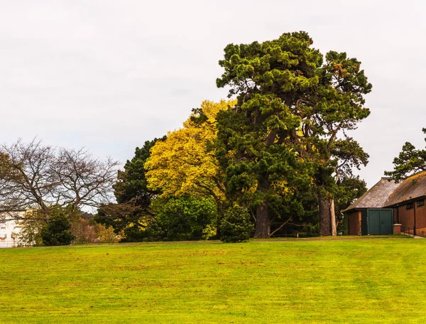 Şehir, yüksek ve geniş ağaçlar, büyük spac güzel park